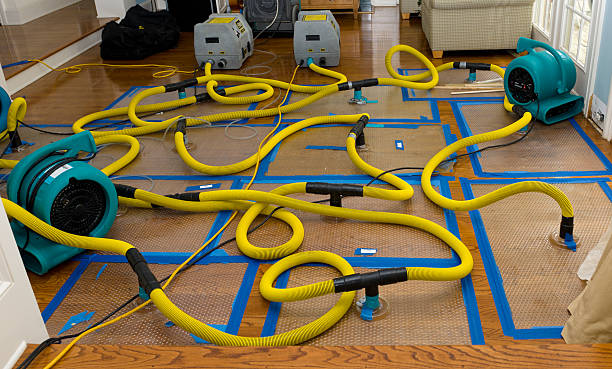 Professional Water Damage Repair technician working in Wolfforth, TX